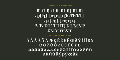 Angfia Relaftio Font Poster 8