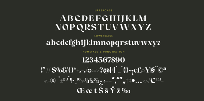 Angfia Relaftio Font Poster 7