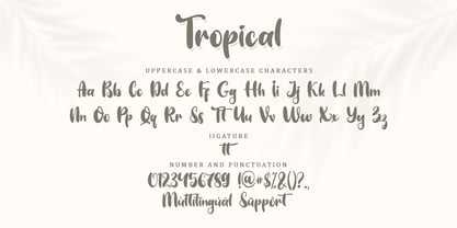 Tropical Display Font Poster 8