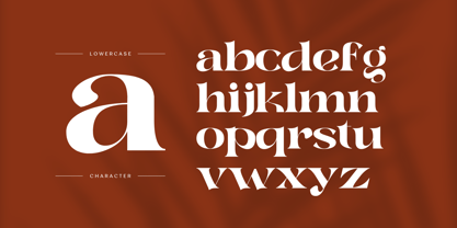 Helkar Vintage Font Poster 5