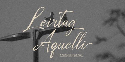 Leirtag Aquelli Font Poster 1