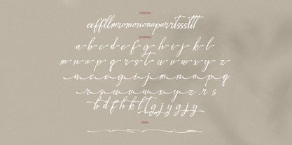 Leirtag Aquelli Font Poster 15