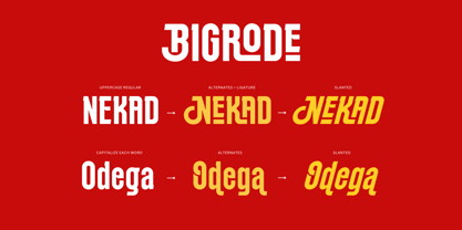 Bigrode Font Poster 8