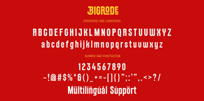 Bigrode Font Poster 12