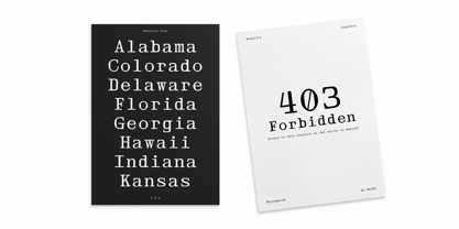 403 Nonfritz Font Poster 5