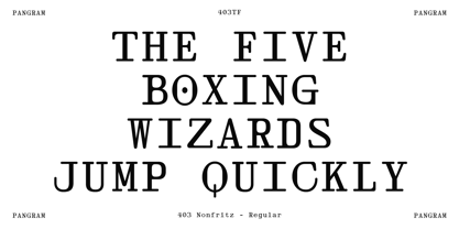 403 Nonfritz Font Poster 3