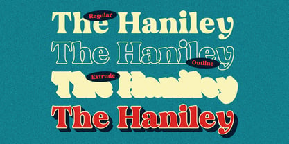 The Haniley Retro Serif Font Poster 4