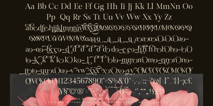 Mevara Font Poster 14