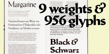 Schneidler Latein Font Poster 4