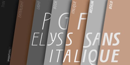 PGF Elyss Sans Pro Font Poster 9