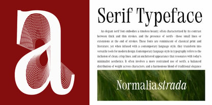 Normalia Strada Font Poster 4