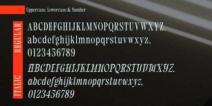 Normalia Strada Font Poster 11