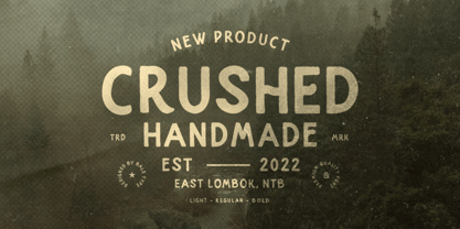 Crushed Font Poster 1