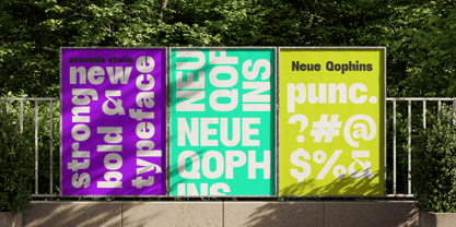 Neue Qophins Font Poster 3