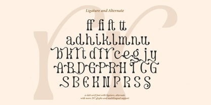 Dearshy Haislein Font Poster 15