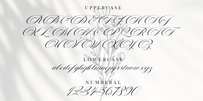 The Cartography Calligraphy Font Poster 12