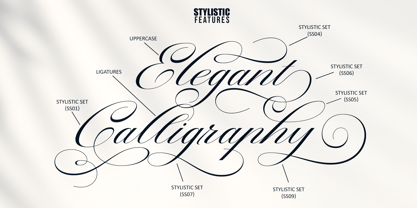 The Cartography Calligraphy Font Poster 15