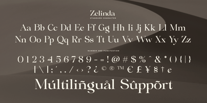 Zelinda Font Poster 10