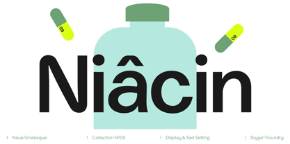 Niacin Font Poster 1