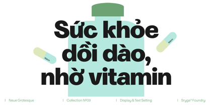 Niacin Font Poster 5