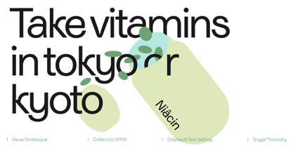 Niacin Font Poster 3