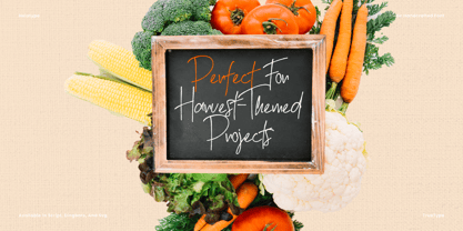 Rustic Harvest Font Poster 6