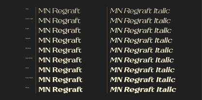 MN Regraft Font Poster 5