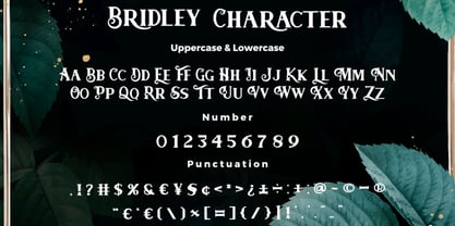 Bridley Font Poster 5