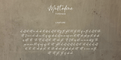 Mastodone Font Poster 13