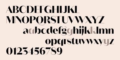 Neue Magnat Display Font Poster 11