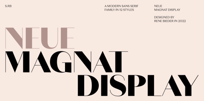 Neue Magnat Display Font Poster 1