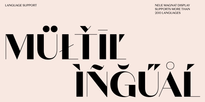 Neue Magnat Display Font Poster 13