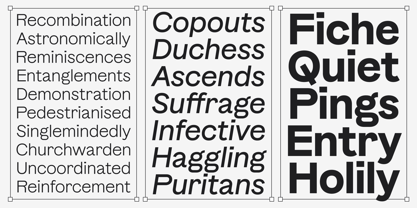 Banter Grotesk Font Poster 13