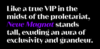 Neue Magnat Standard Font Poster 3