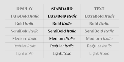 Neue Magnat Standard Font Poster 2