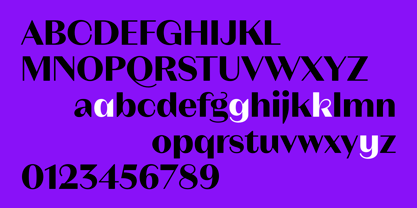 Neue Magnat Standard Font Poster 11