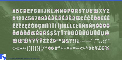 Bulltoad Font Poster 7