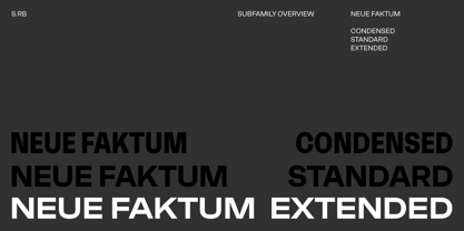 Neue Faktum Extended Police Poster 2