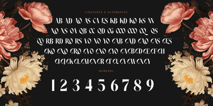 Noresa Font Poster 14