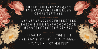 Noresa Font Poster 15