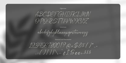 Corlenois Signature Font Poster 13