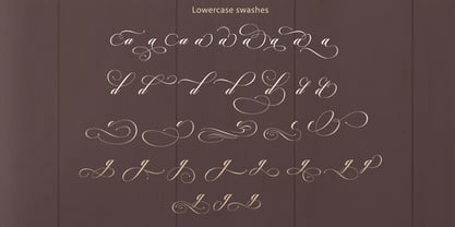 Cut Putroe Navisha Font Poster 14