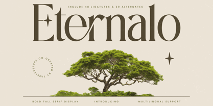 Eternalo Font Poster 1