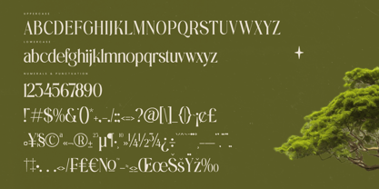 Eternalo Font Poster 14