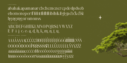 Eternalo Font Poster 15