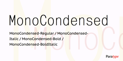 Mono Condensed Font Poster 1