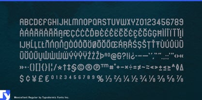 Mexcellent Font Poster 7