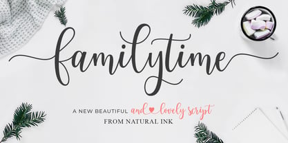 Family Time Script Font Poster 1