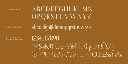 Serfiyan Font Poster 7