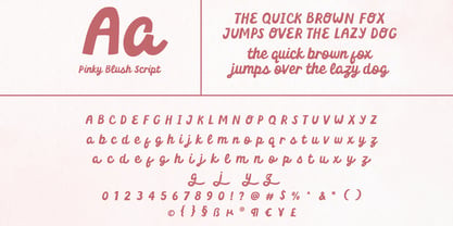 Pinky Blush Font Poster 9